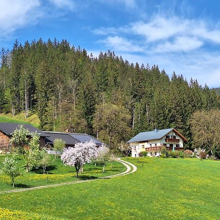伊布斯河畔的戈斯特林Biobauernhof Poidlbauer别墅 外观 照片