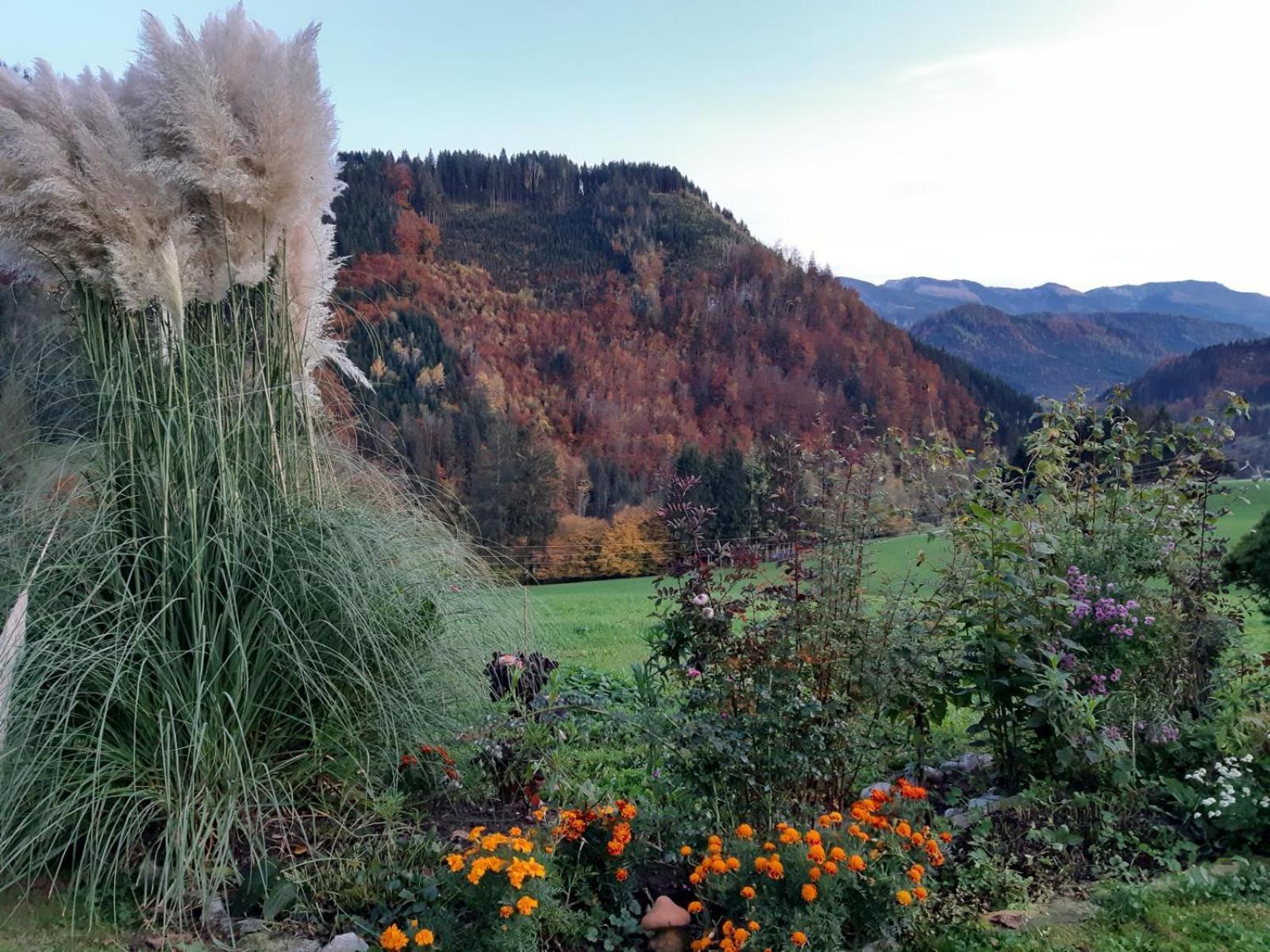 伊布斯河畔的戈斯特林Biobauernhof Poidlbauer别墅 外观 照片