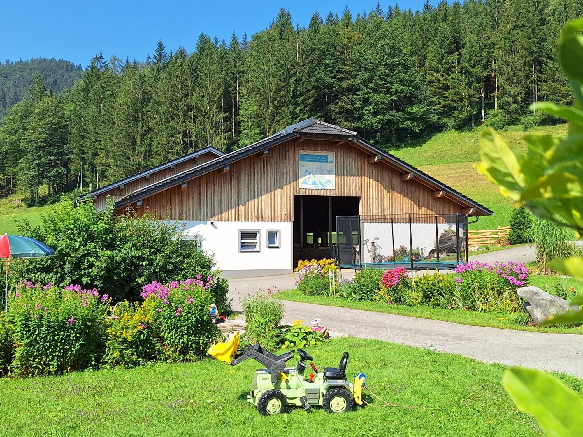 伊布斯河畔的戈斯特林Biobauernhof Poidlbauer别墅 外观 照片
