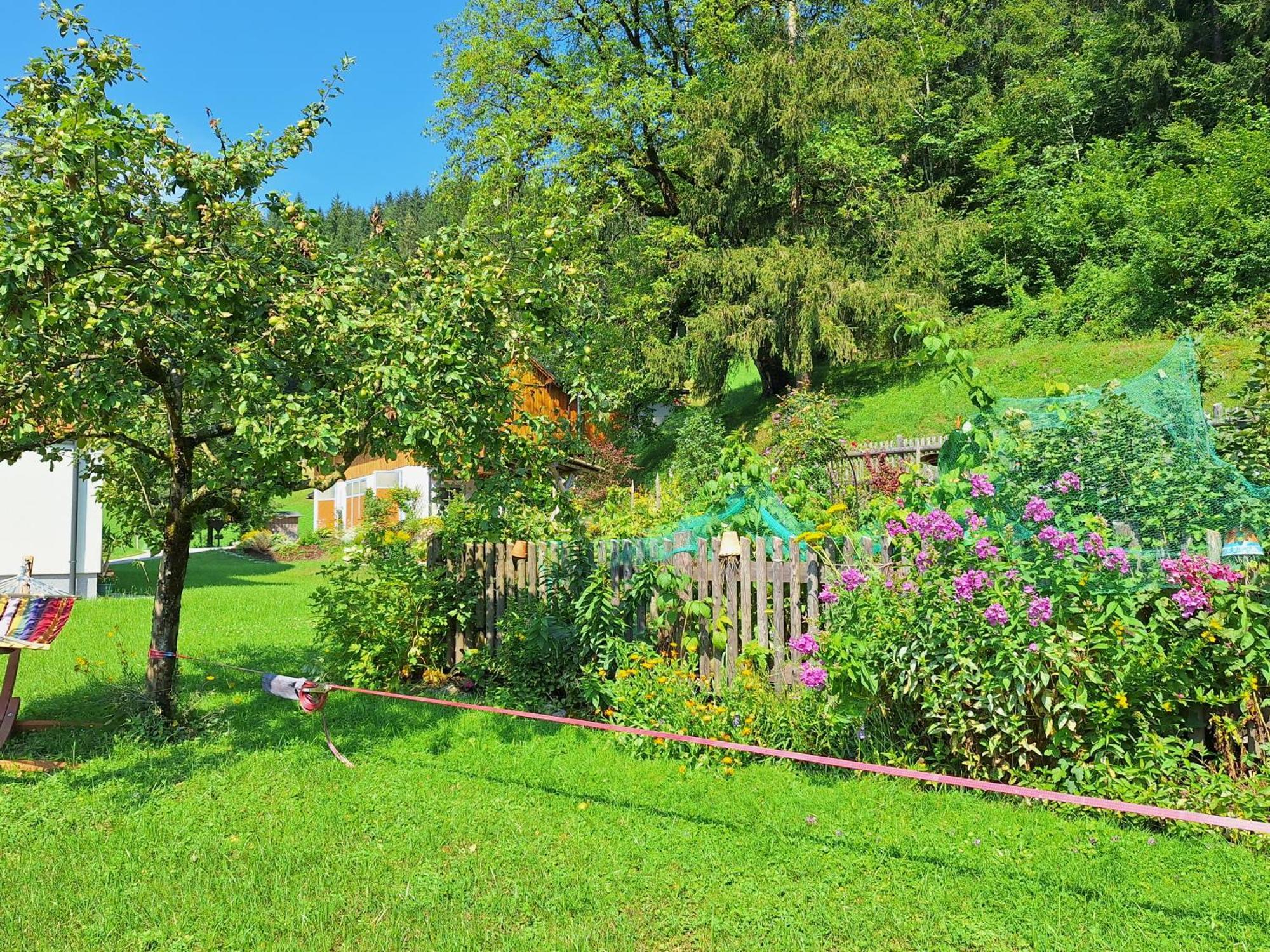 伊布斯河畔的戈斯特林Biobauernhof Poidlbauer别墅 外观 照片